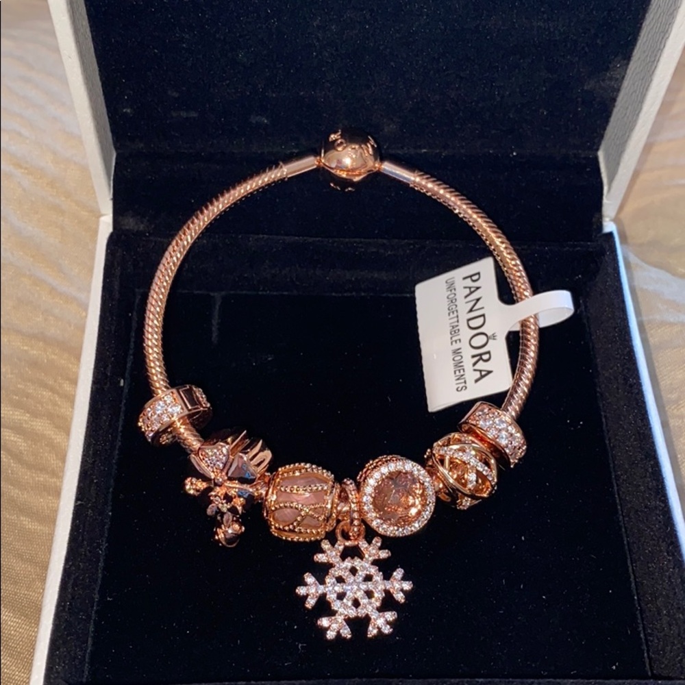 🚫Sold🚫 Pandora Rose Gold Charm Bracelet